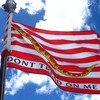 Don't Tread on Me, Tea Party